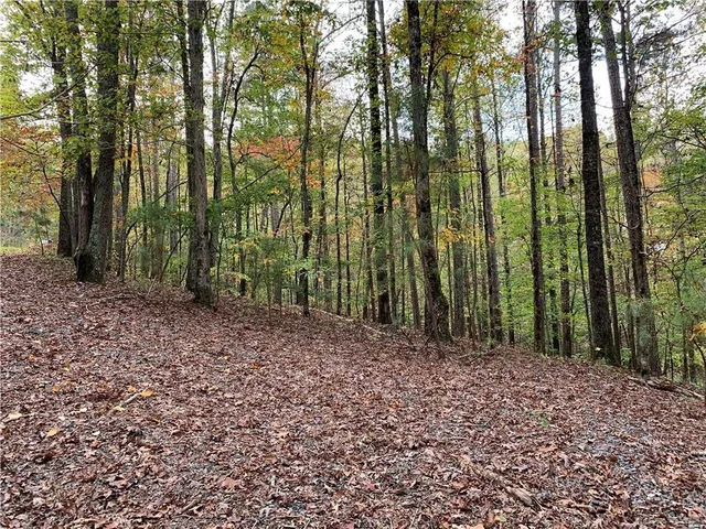 a view of outdoor space and garden