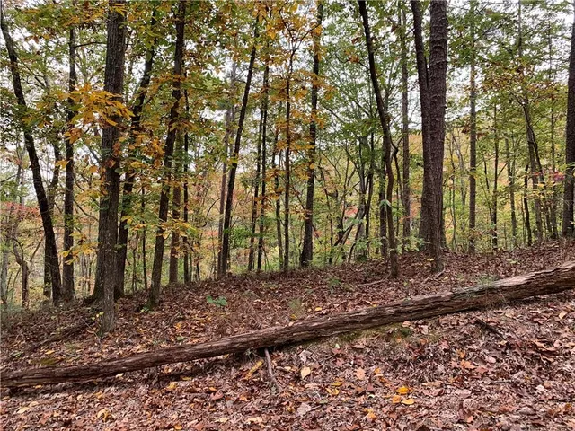 a view of backyard space
