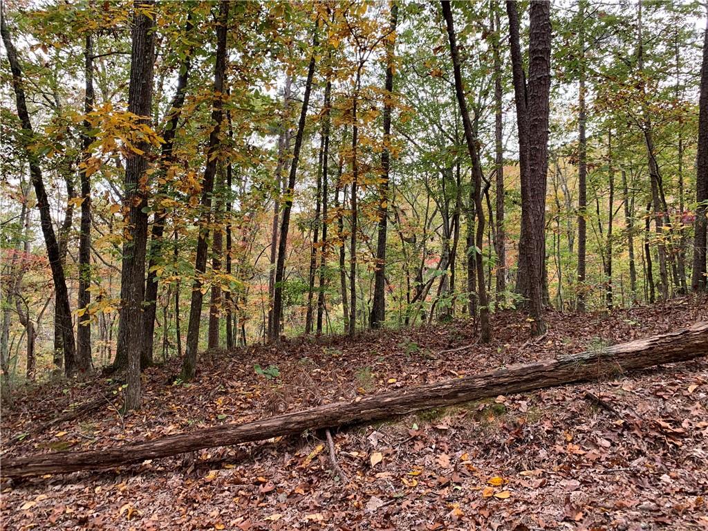 128 Adair Drive Ranger, GA 30734 - Photo 8 of 16