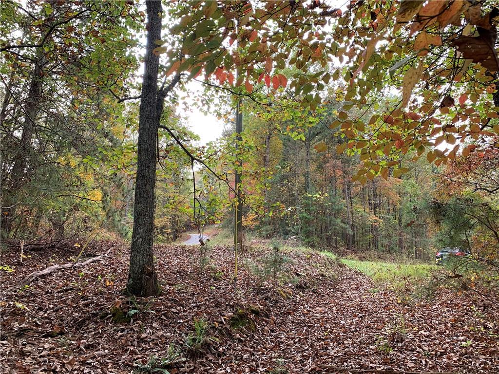 128 Adair Drive Ranger, GA 30734 - Photo 9 of 16