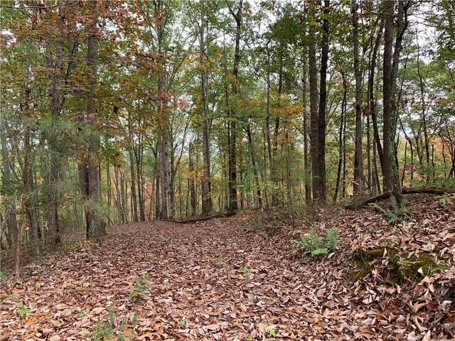 a big yard with lots of green space