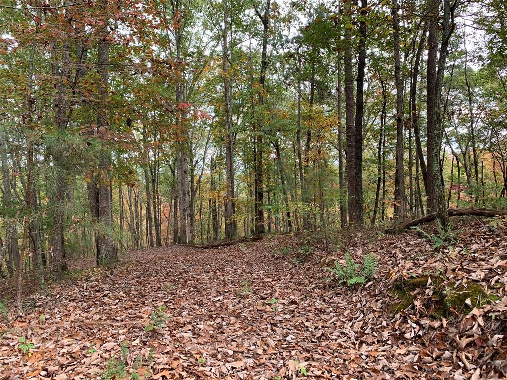 128 Adair Drive Ranger, GA 30734 - Photo 10 of 16