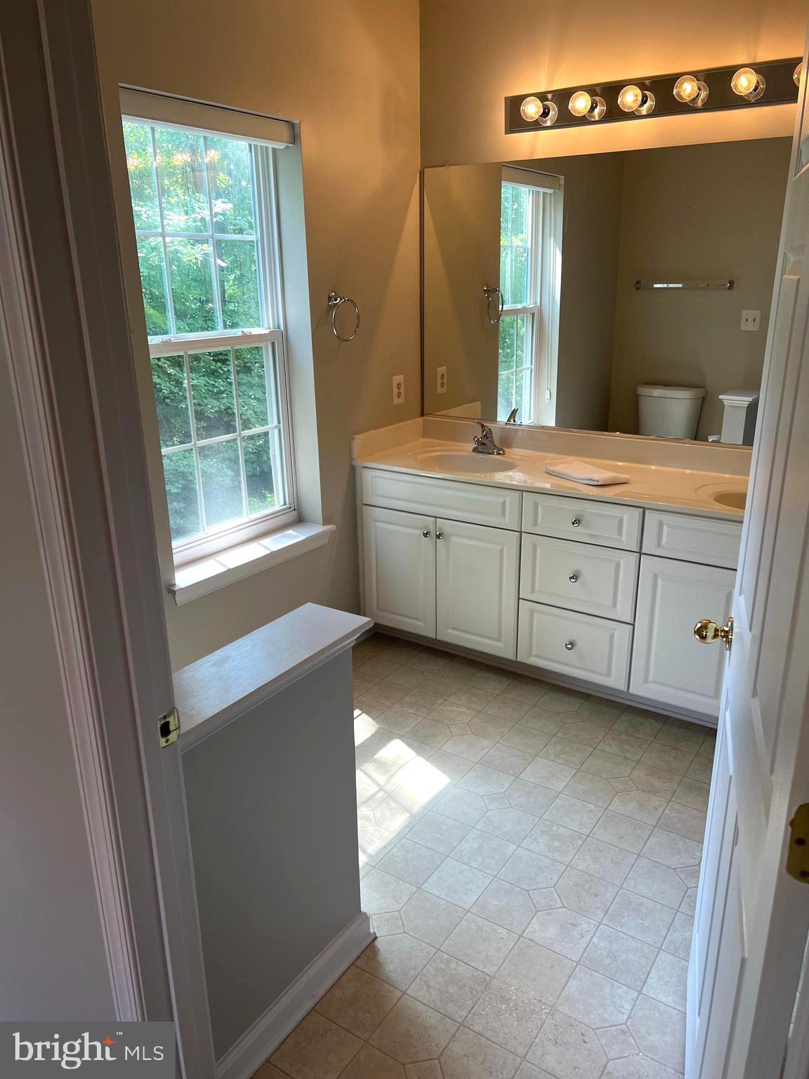 431 Hopkins Landing Drive, Unit 431 Baltimore, MD 21221 - Photo 13 of 30 a spacious bathroom with a double vanity sink a mirror and a bathtub