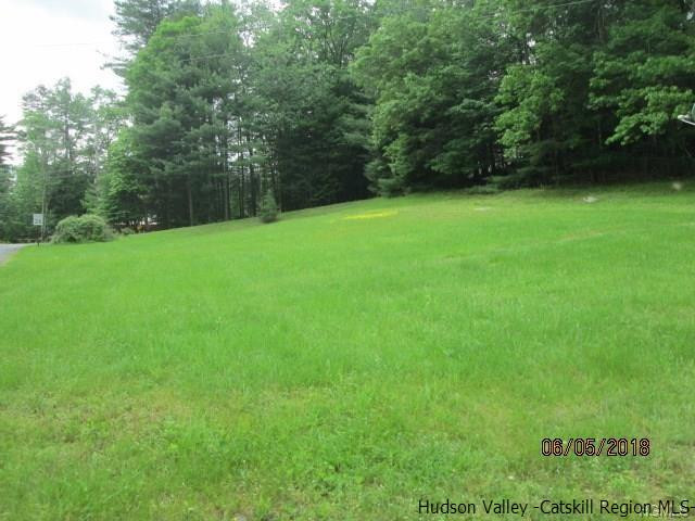 309 Schroon Hill Road Kerhonkson, NY 12446 - Photo 21 of 21 a view of a green yard