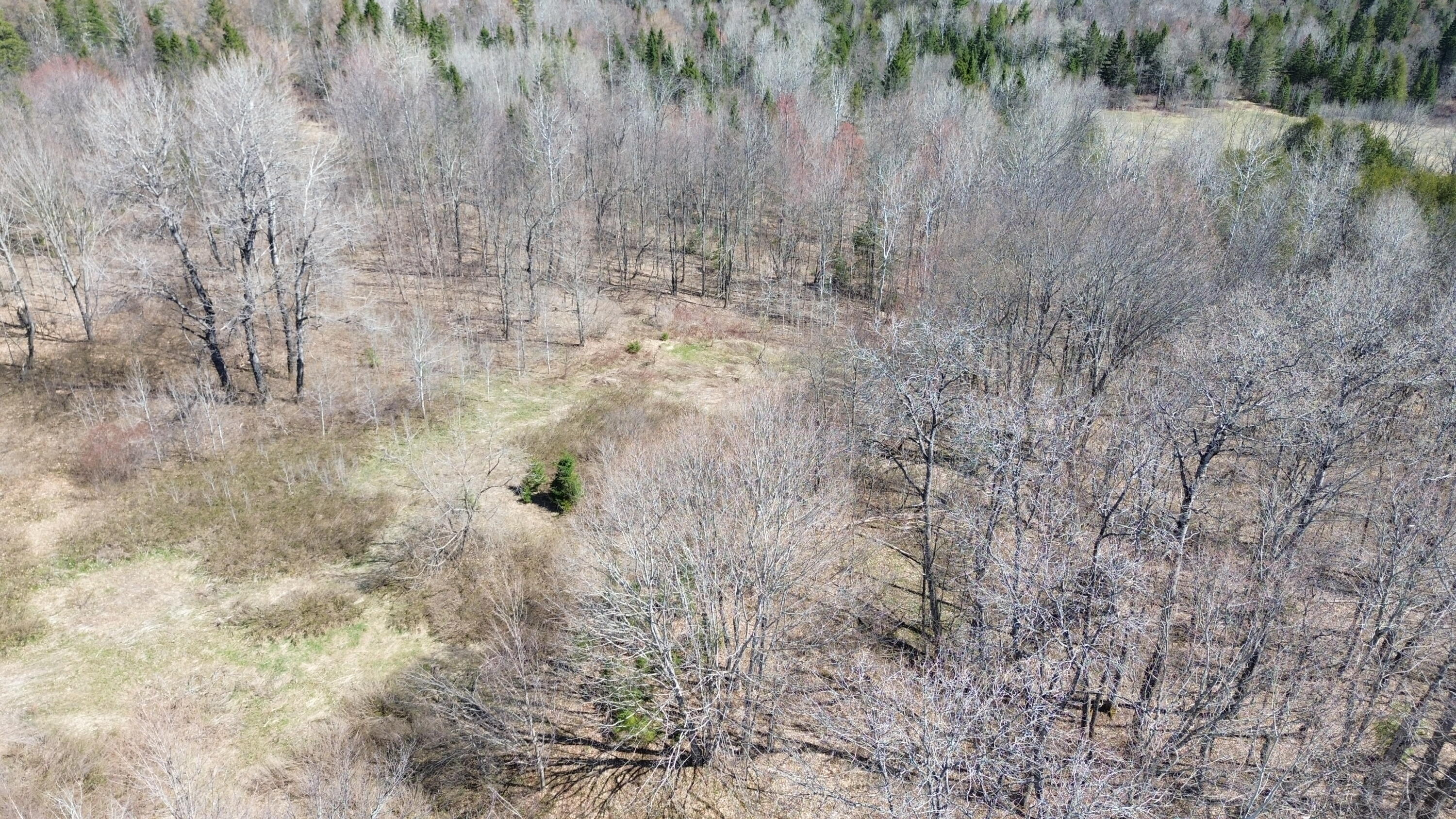 1-l 12c B Road Houlton, ME 04730 - Photo 8 of 9 DJI_0189