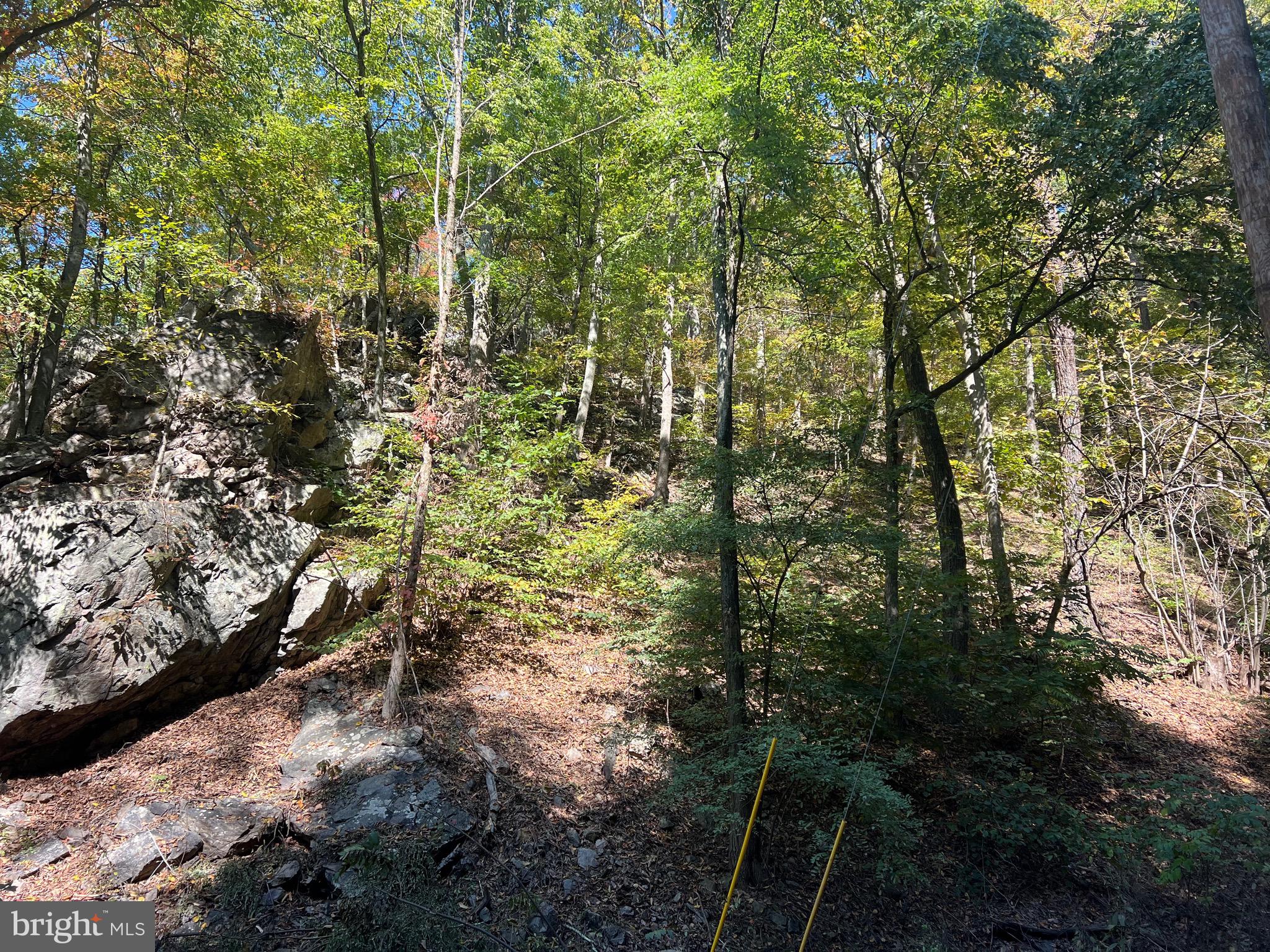 1604 High Knob Road Old Fields, WV 26845 - Photo 86 of 113