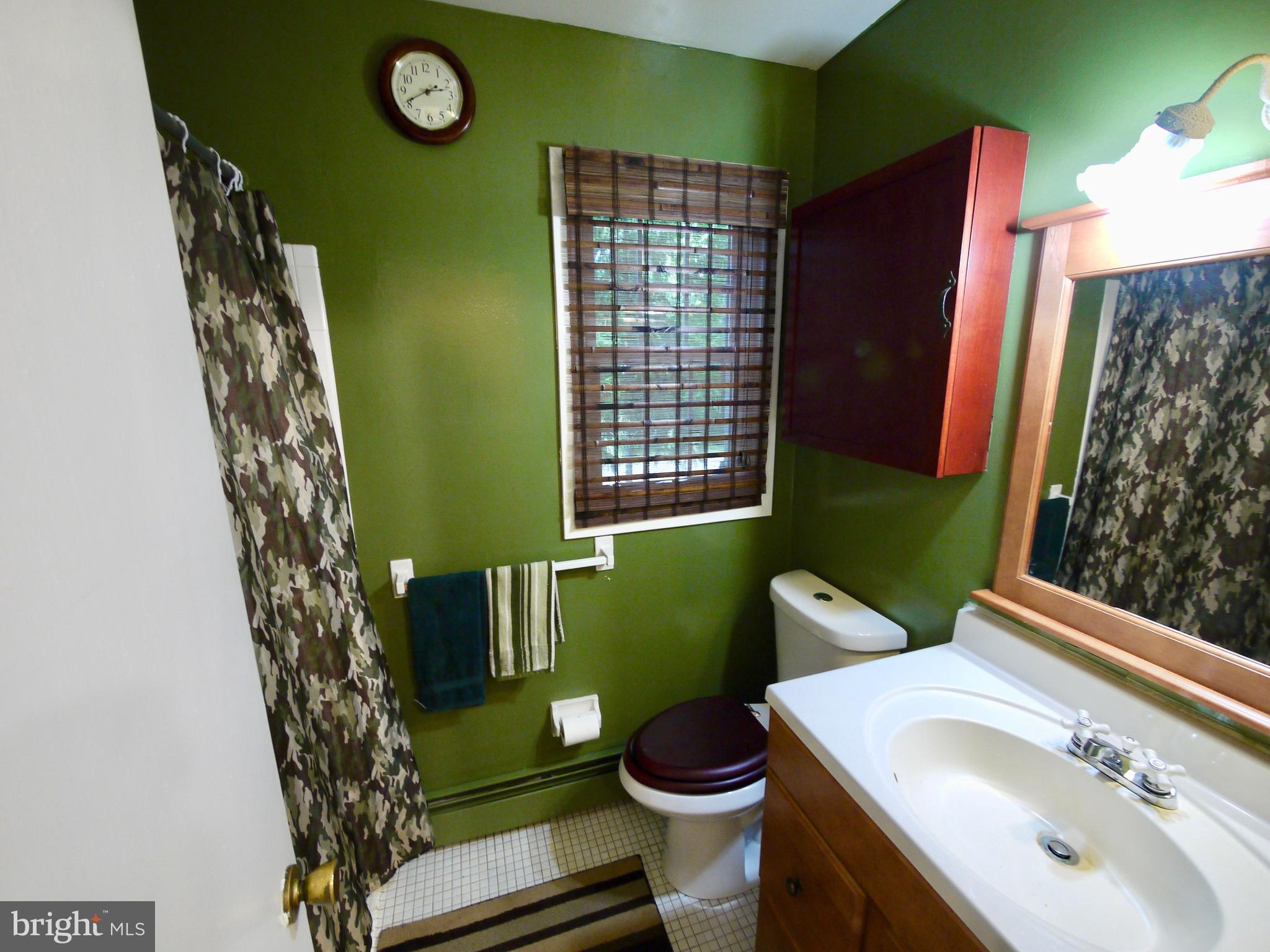 2914 Timber Ridge Drive Mount Airy, MD 21771 - Photo 12 of 30 Full Updated Bath with Tub