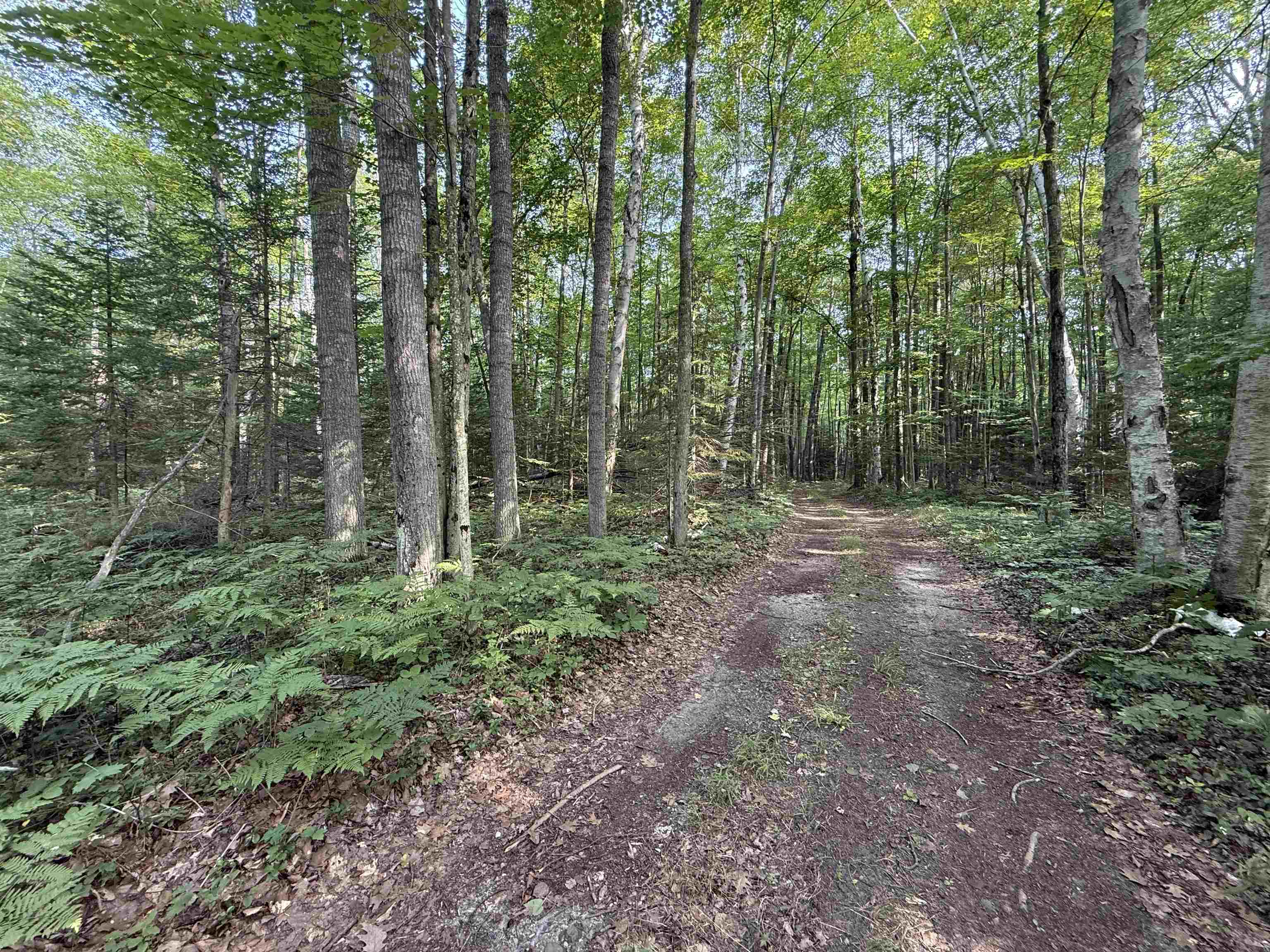 South Poor Farm Road Greenbush, MI 48738 - Photo 1 of 6 Gallery Image 1