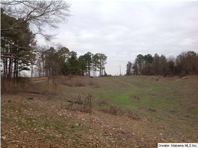 0 County Road 33, Unit 7 AC Fruithurst, AL 36262 - Photo 3 of 6 Gallery Image 3