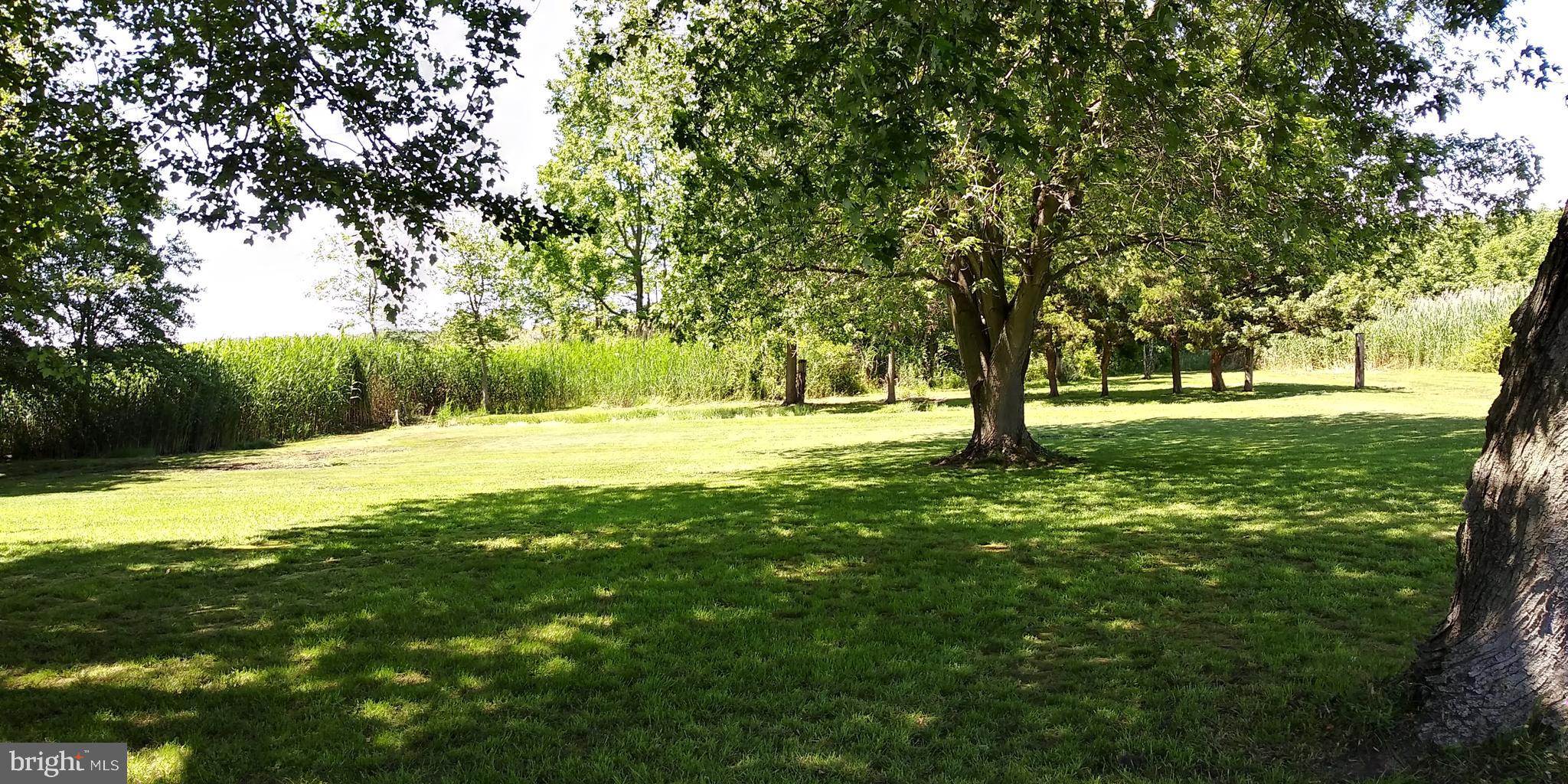 195 Landing Road Newport, NJ 08345 - Photo 4 of 11 Backyard