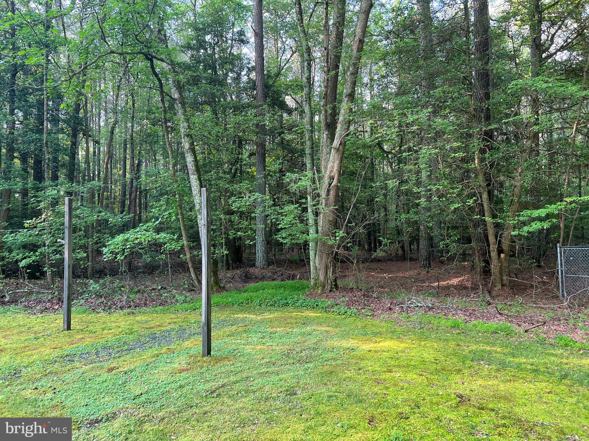 33605 Rohm Road Parsonsburg, MD 21849 - Photo 28 of 29 Gallery Image 28
