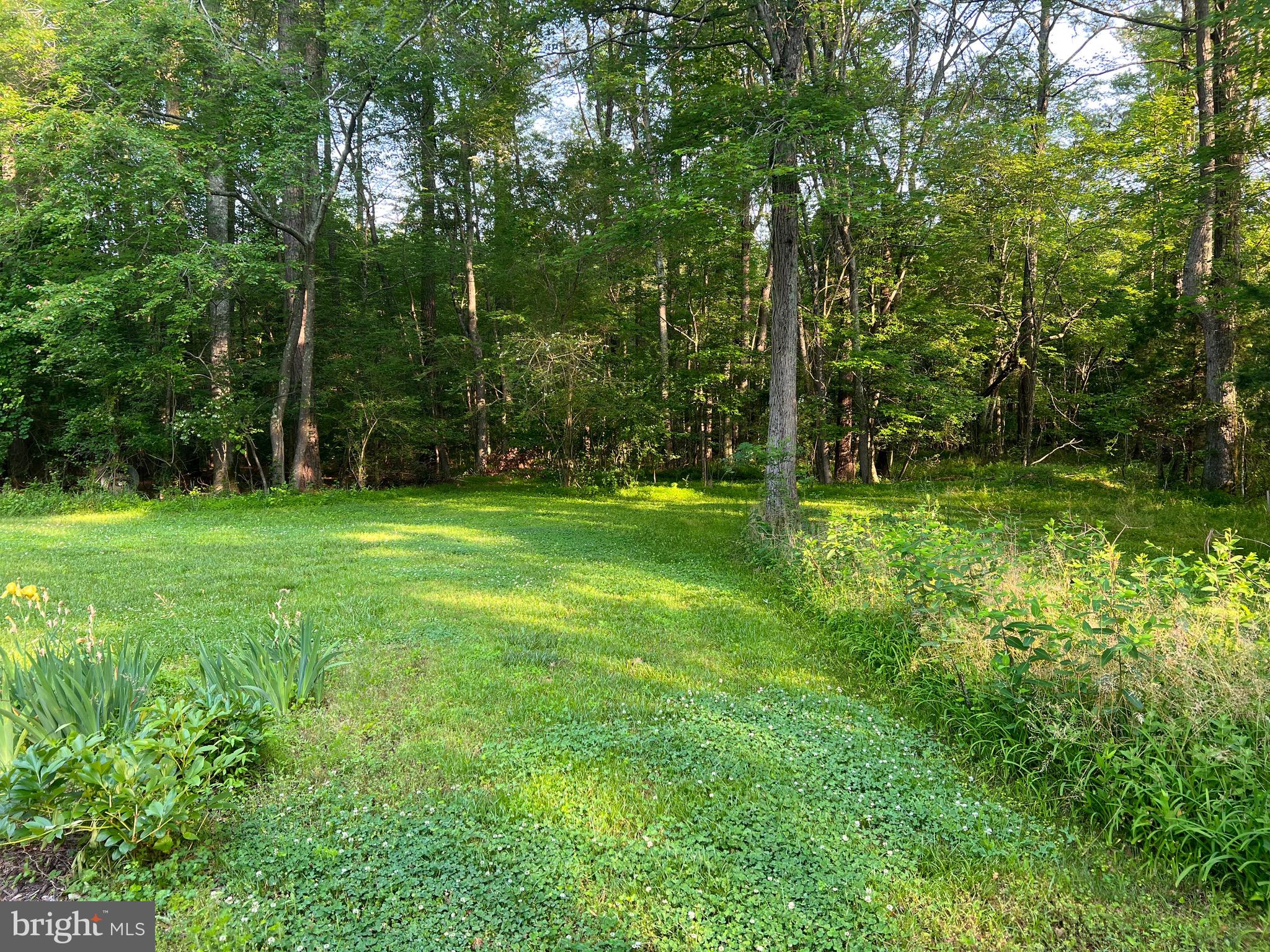 33605 Rohm Road Parsonsburg, MD 21849 - Photo 29 of 29 Gallery Image 29