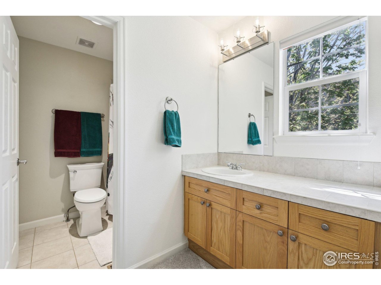 4109 Frederick Circle Longmont, CO 80503 - Photo 29 of 40 a bathroom with a toilet sink and mirror