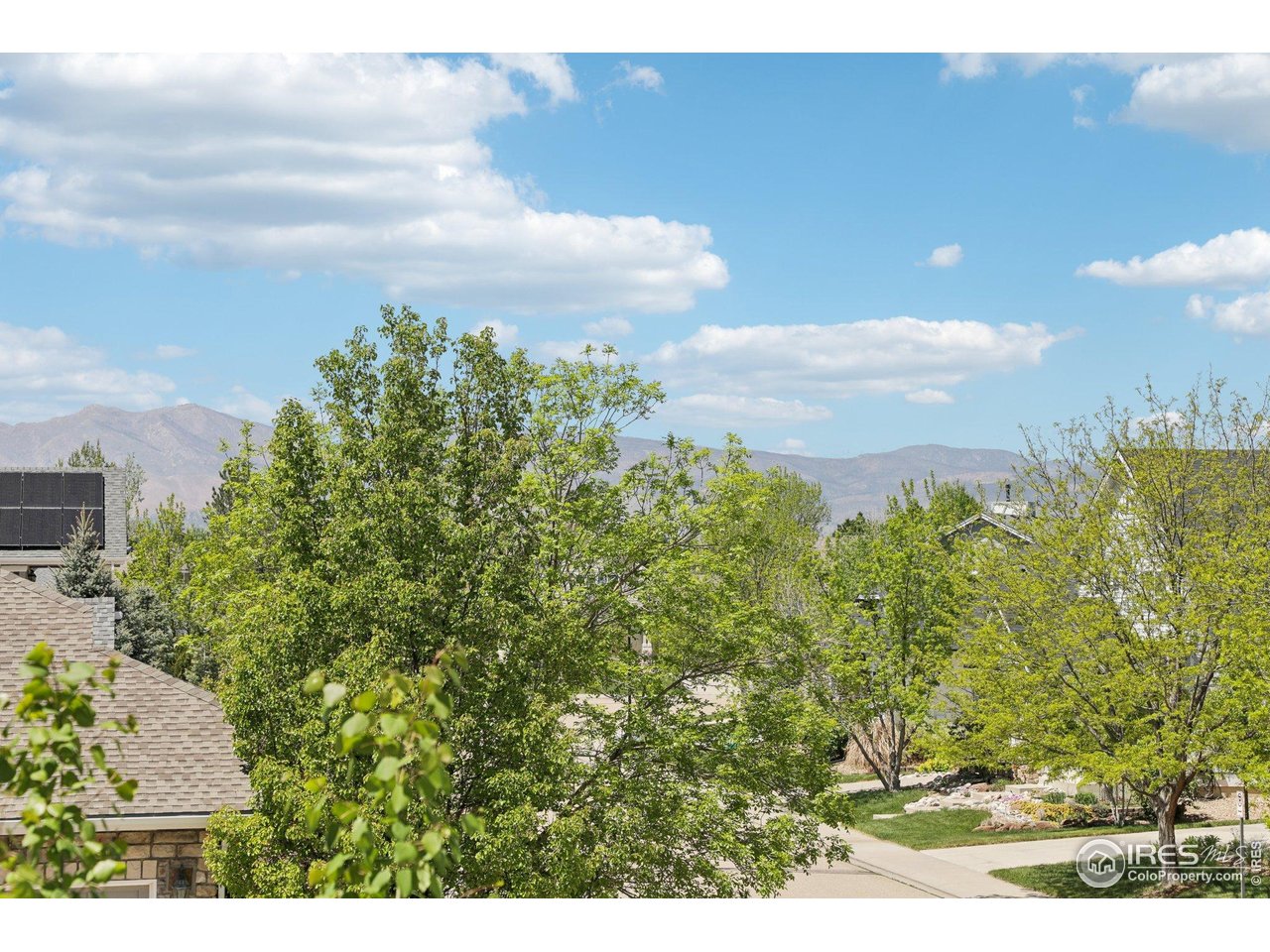 4109 Frederick Circle Longmont, CO 80503 - Photo 39 of 40 a view of a bunch of trees and bushes