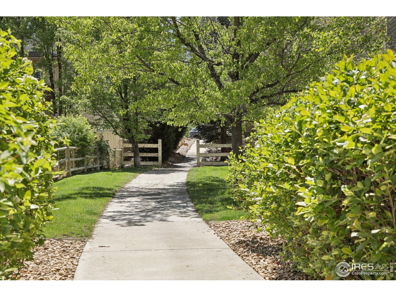 4109 Frederick Circle Longmont, CO 80503 - Photo 40 of 40 a view of a park with large trees