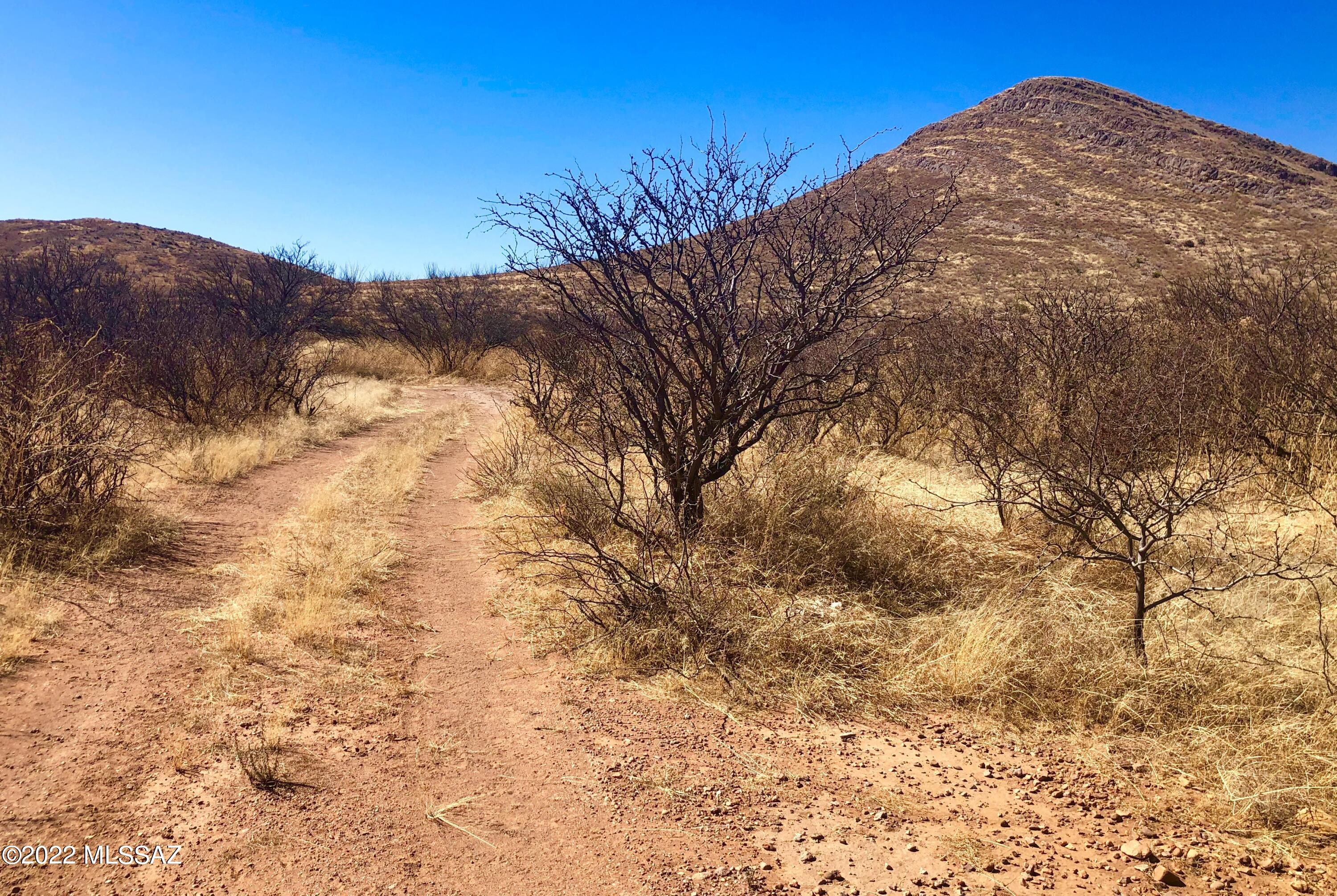5.11-ac North Rucker Canyon Road Elfrida, AZ 85610 - Photo 1 of 50