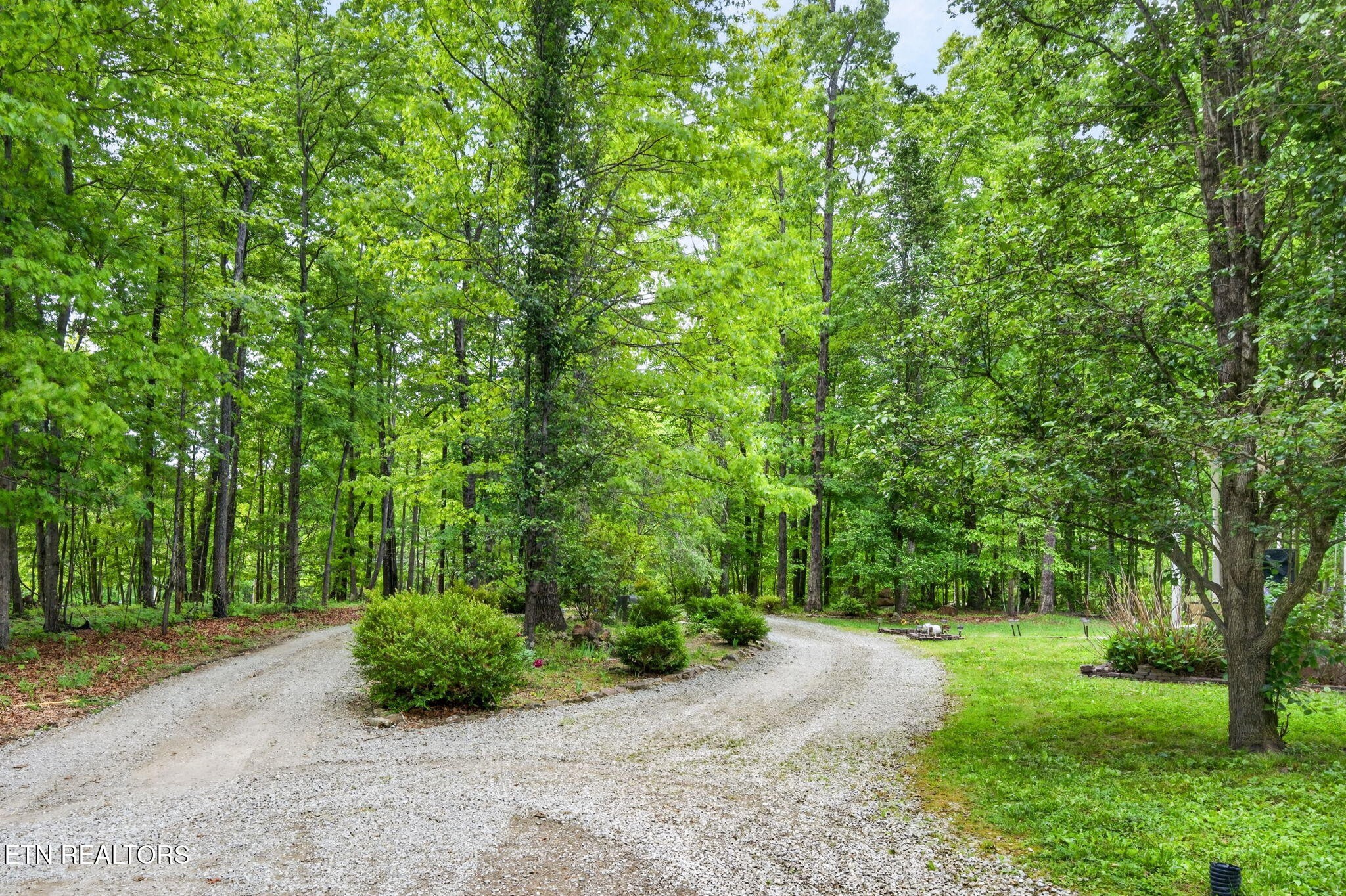 500 Cliff Park Road Monterey, TN 38574 - Photo 11 of 60
