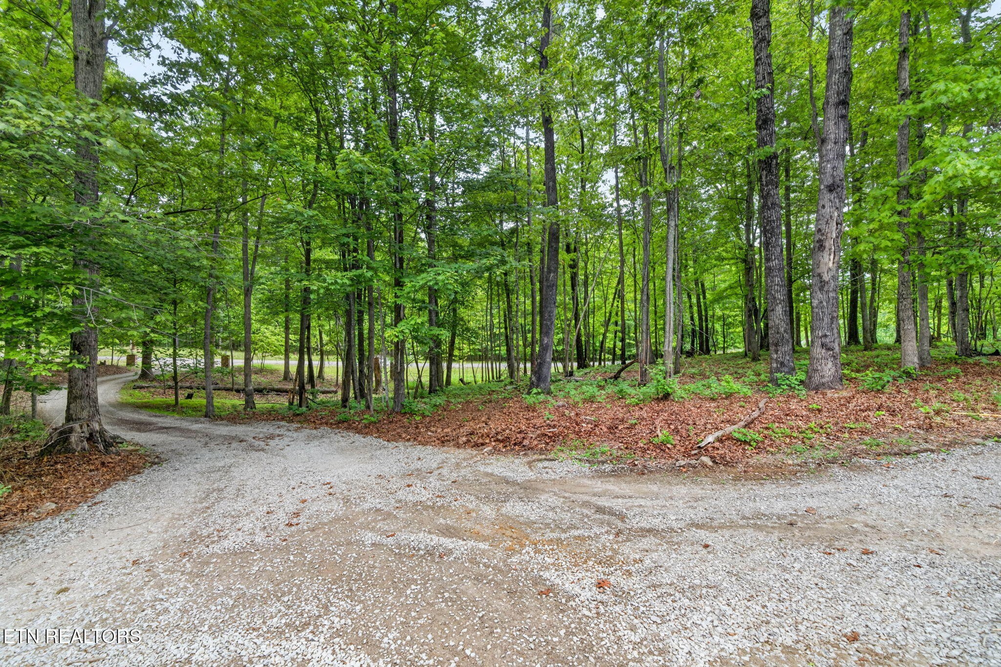 500 Cliff Park Road Monterey, TN 38574 - Photo 12 of 60