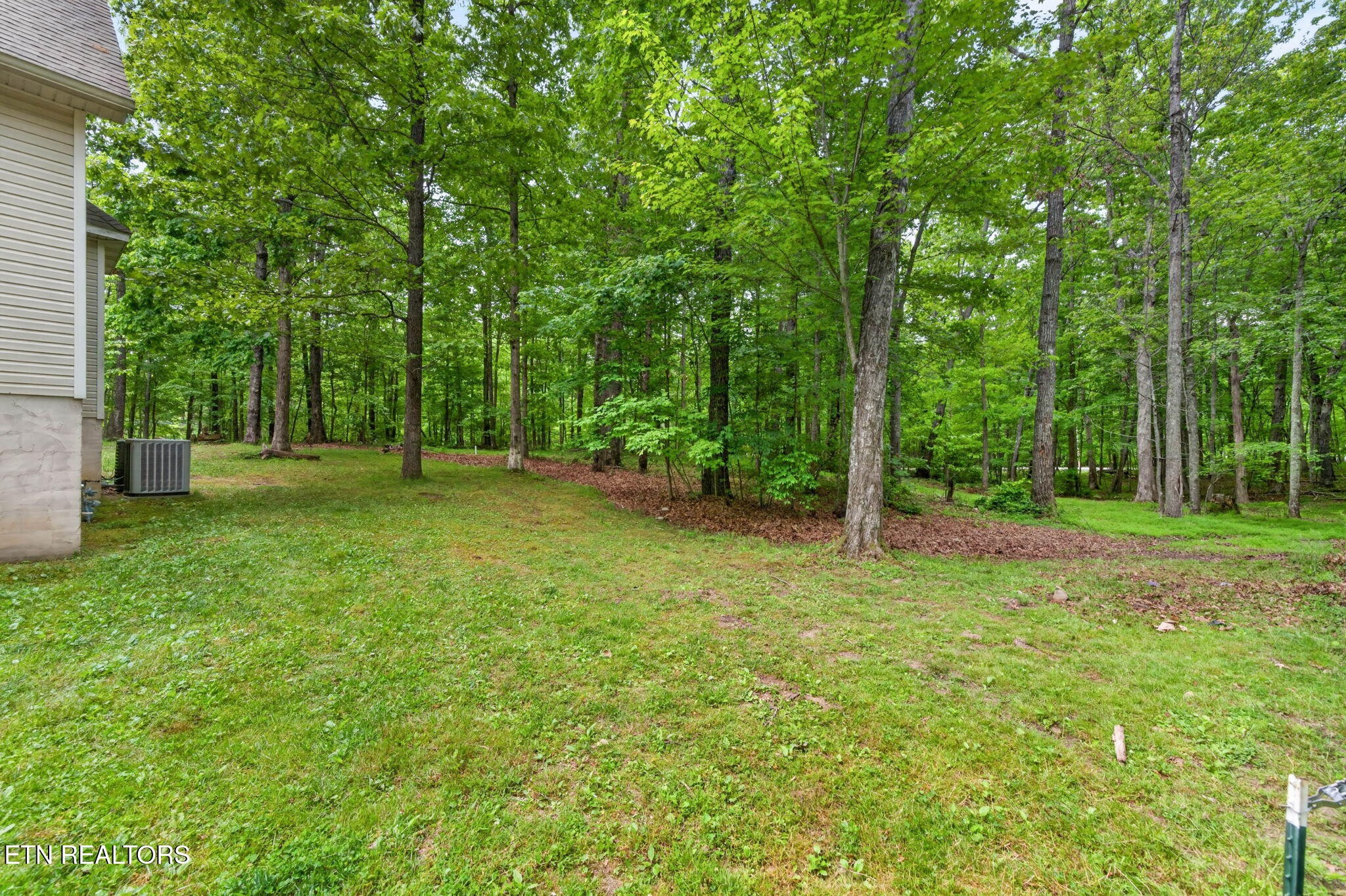 500 Cliff Park Road Monterey, TN 38574 - Photo 17 of 60