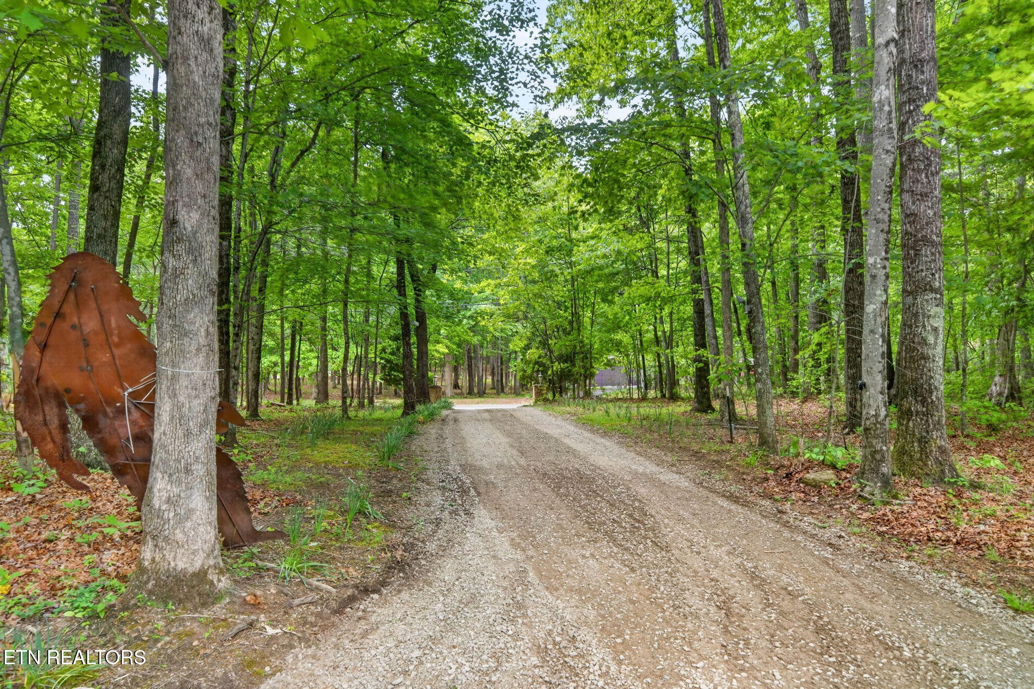 500 Cliff Park Road Monterey, TN 38574 - Photo 5 of 60