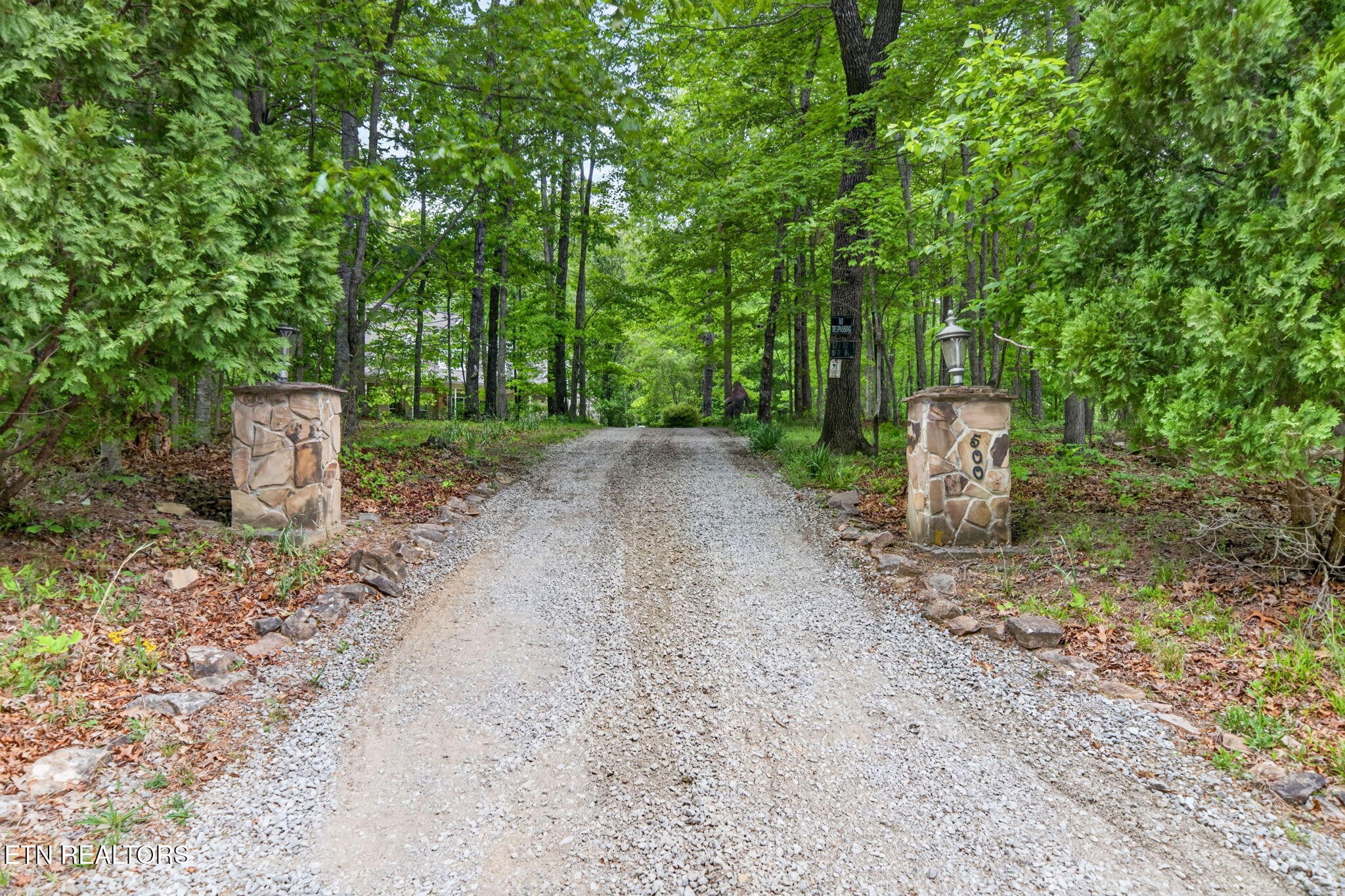 500 Cliff Park Road Monterey, TN 38574 - Photo 6 of 60