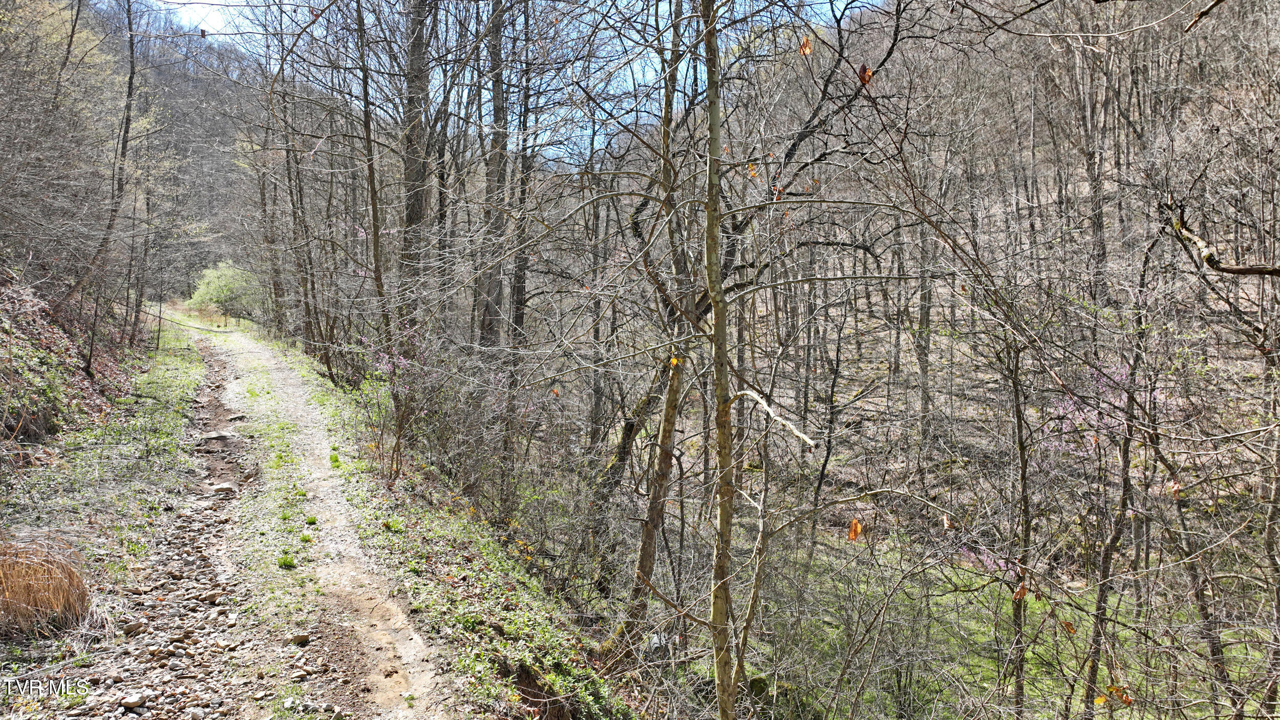 0 Guesses Fork Road Hurley, VA 24620 - Photo 13 of 31 IMG_7479