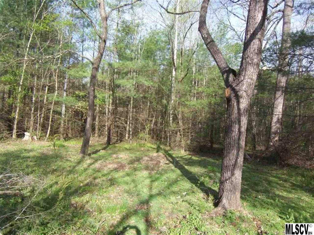 4863 Calico Road Lenoir, NC 28645 - Photo 5 of 24 Gallery Image 5