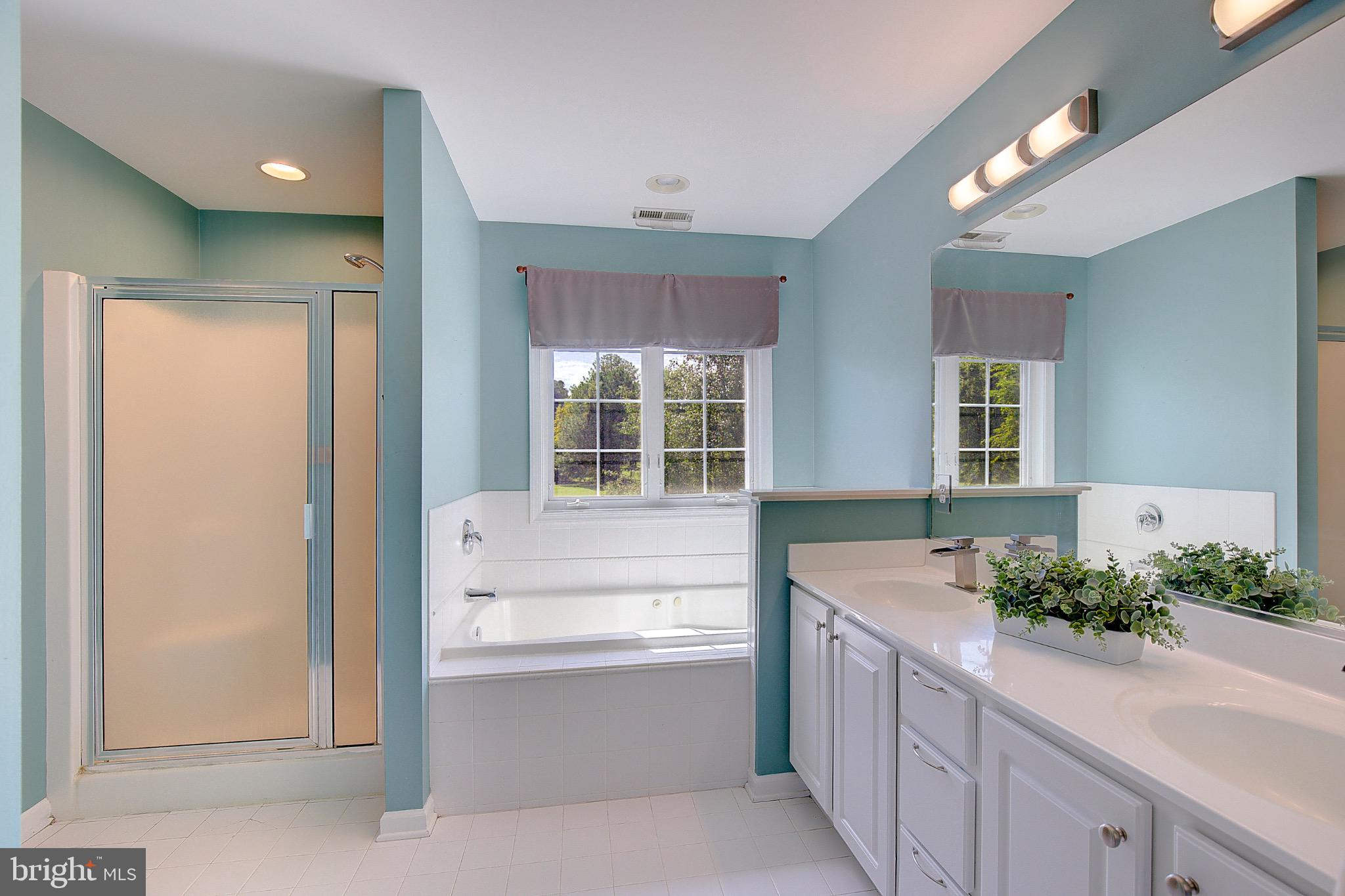 123 Bentons Pleasure Road Chester, MD 21619 - Photo 36 of 63 a bathroom with a tub sink and mirror