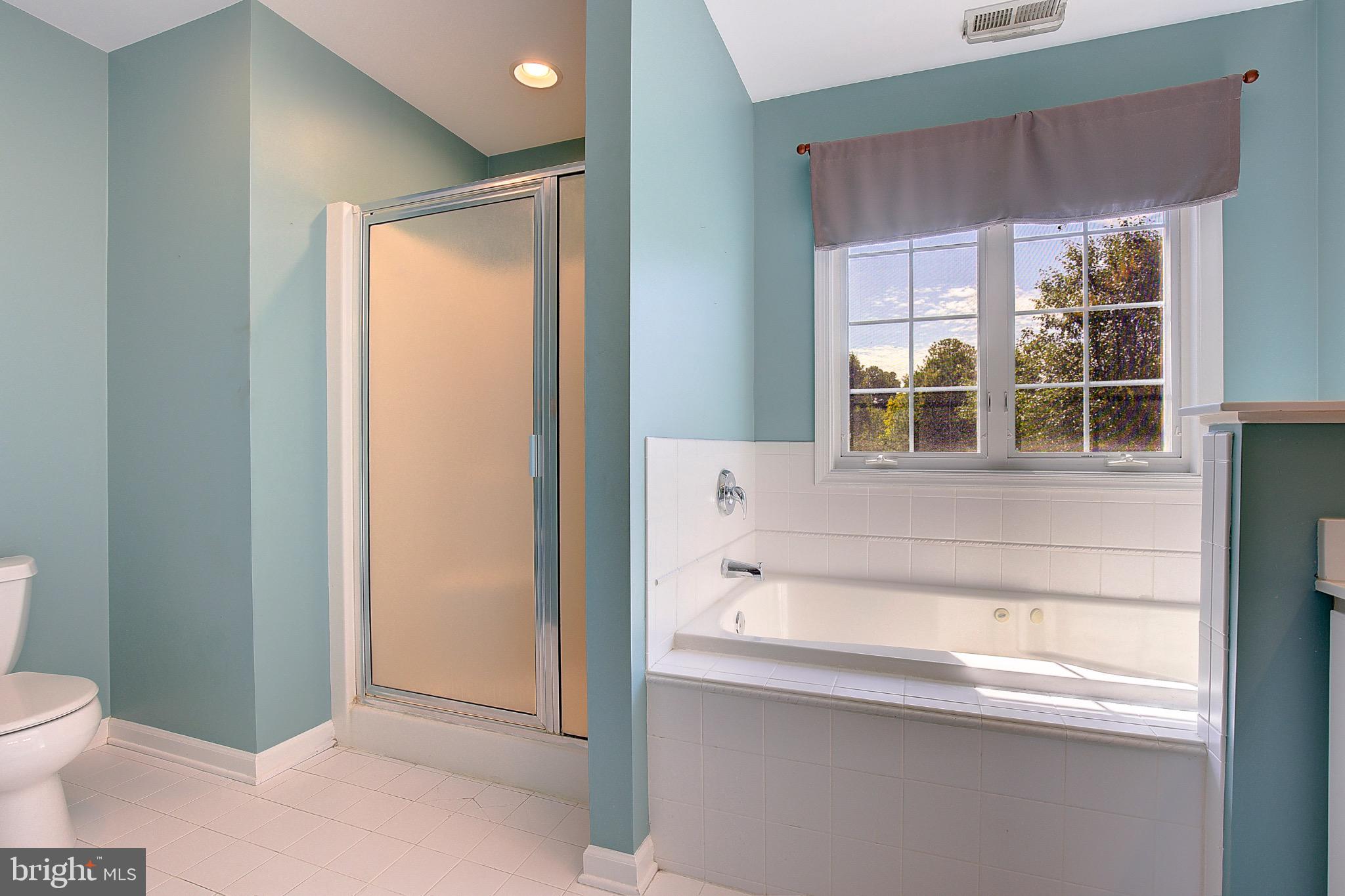 123 Bentons Pleasure Road Chester, MD 21619 - Photo 38 of 63 a bathroom with a sink and a bathtub