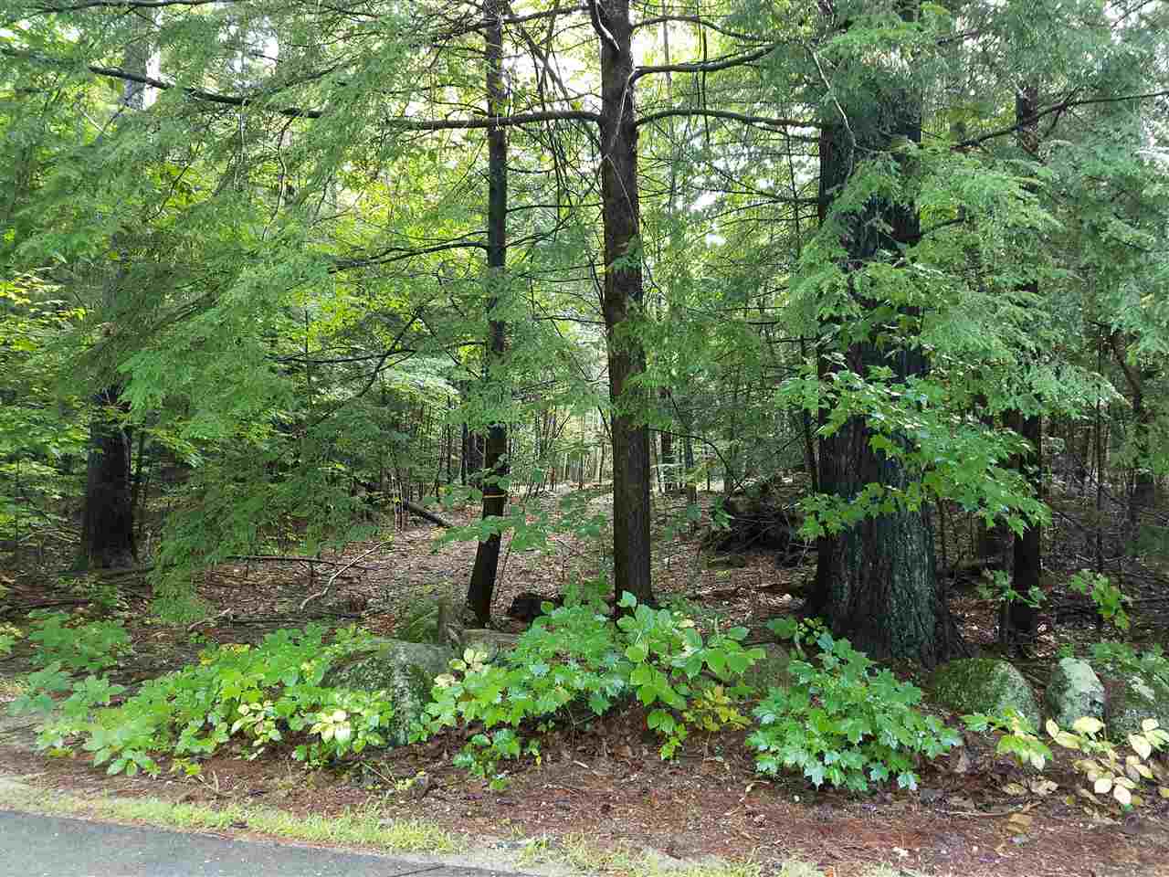 49 Longview Road Hancock, NH 03449 - Photo 1 of 4 Gallery Image 1