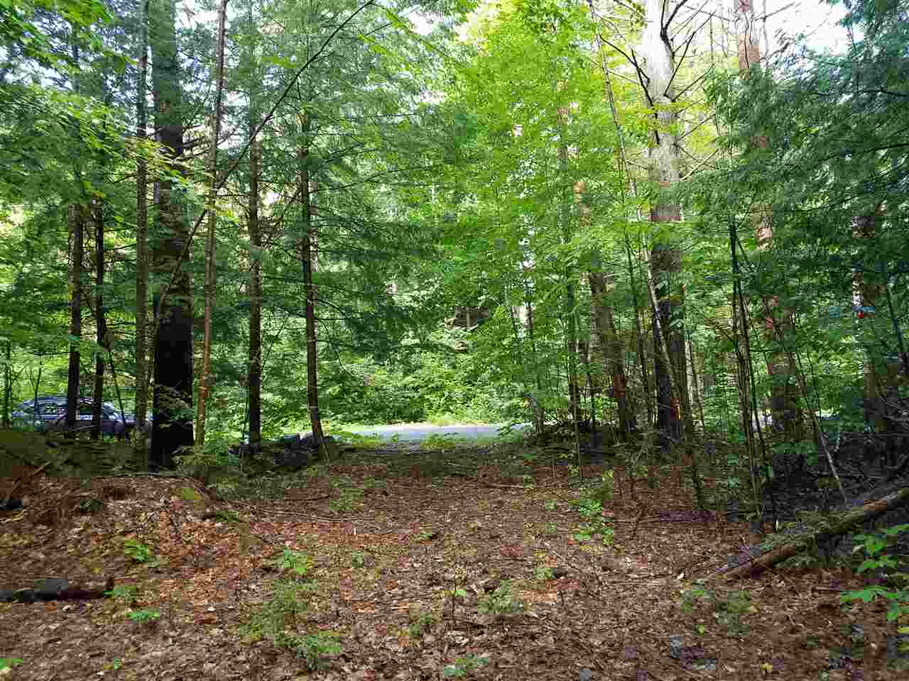 49 Longview Road Hancock, NH 03449 - Photo 2 of 4 Gallery Image 2