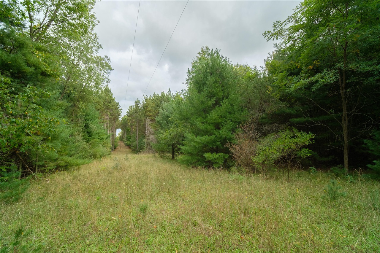 0 Erdman Road Onekama, MI 49675 - Photo 5 of 69 Gallery Image 5