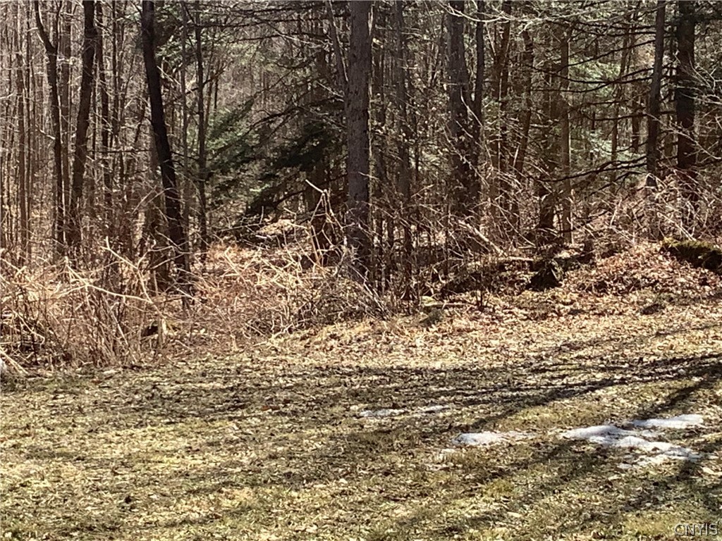 96 Browntown Road Lisle, NY 13835 - Photo 13 of 38 woods