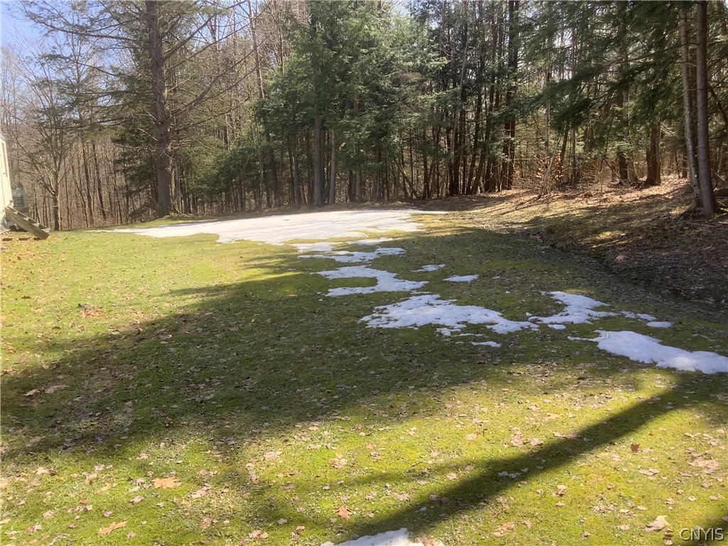 96 Browntown Road Lisle, NY 13835 - Photo 14 of 38 more of yard
