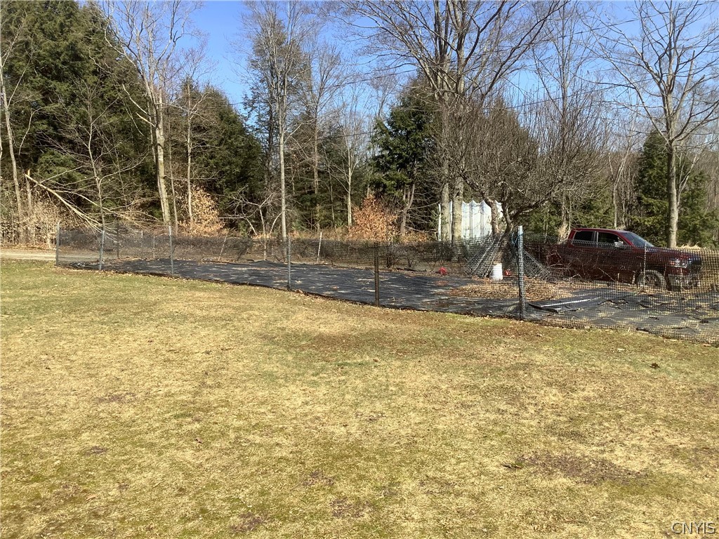 96 Browntown Road Lisle, NY 13835 - Photo 15 of 38 yard