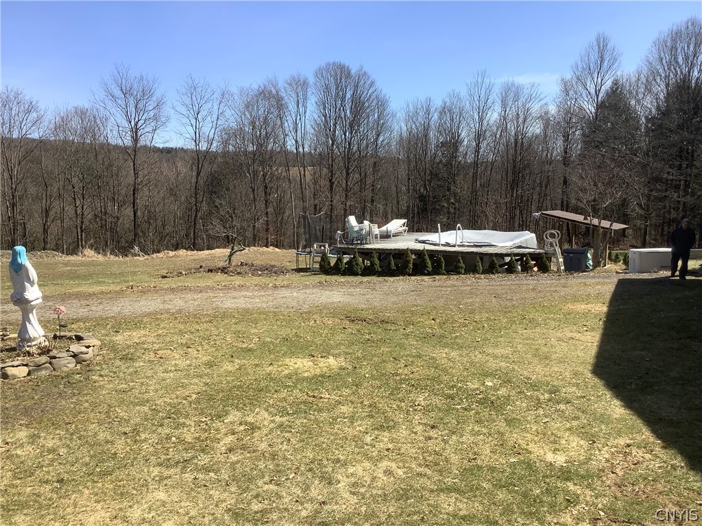 96 Browntown Road Lisle, NY 13835 - Photo 16 of 38 yard