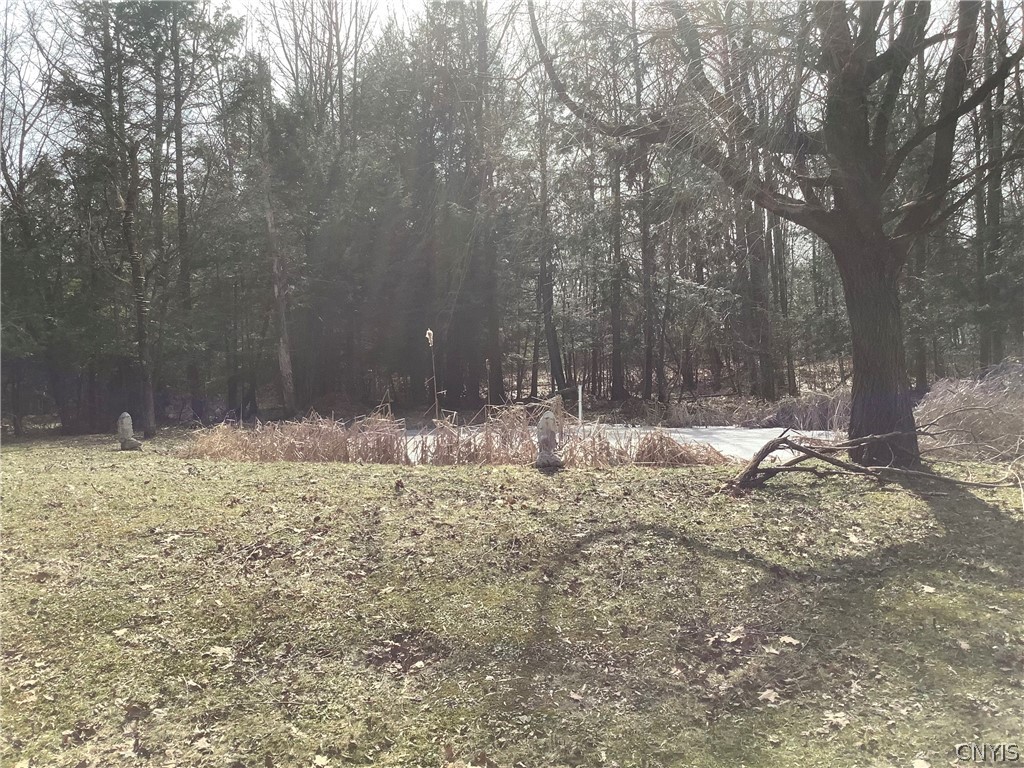 96 Browntown Road Lisle, NY 13835 - Photo 17 of 38 pond