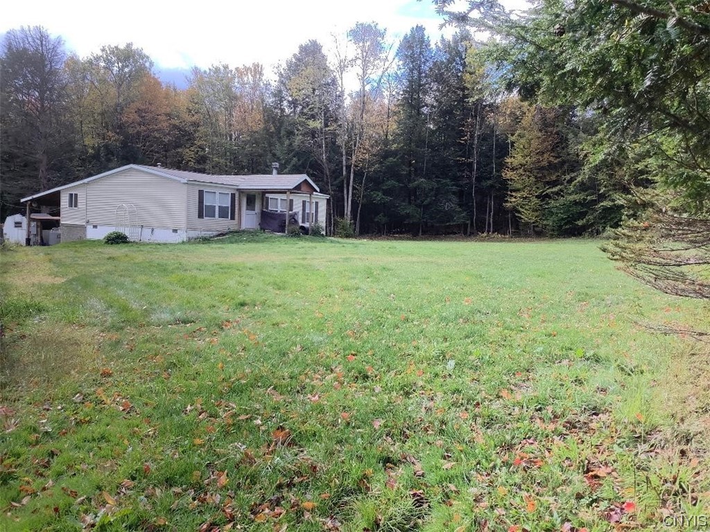 96 Browntown Road Lisle, NY 13835 - Photo 2 of 38 Front of home and yard