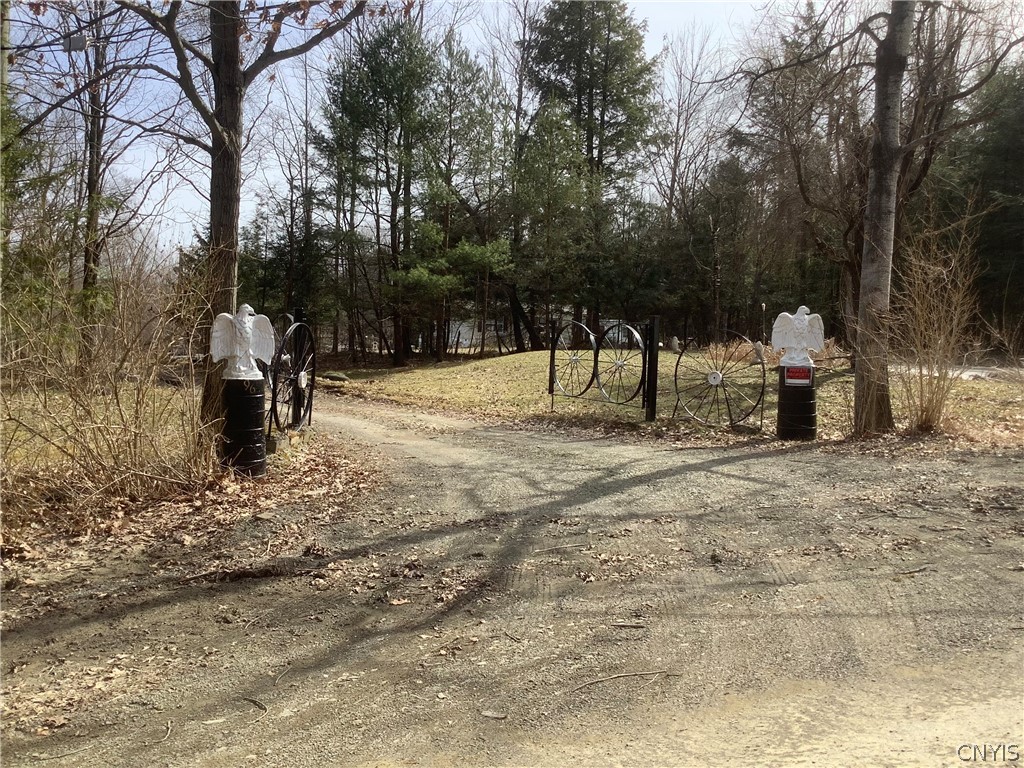 96 Browntown Road Lisle, NY 13835 - Photo 3 of 38 entrance way and driveway