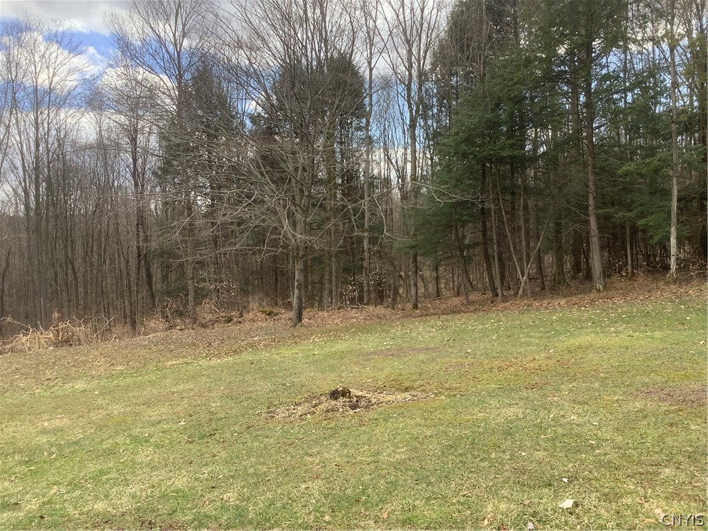 96 Browntown Road Lisle, NY 13835 - Photo 35 of 38 yard