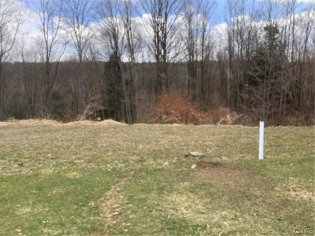 96 Browntown Road Lisle, NY 13835 - Photo 36 of 38 yard