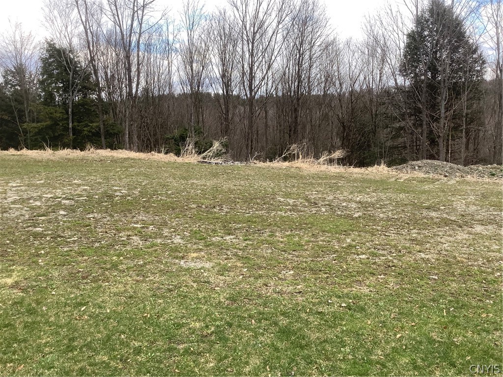 96 Browntown Road Lisle, NY 13835 - Photo 37 of 38 yard