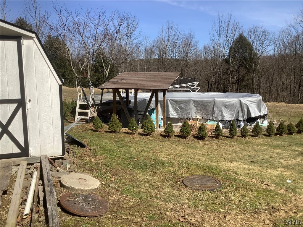 96 Browntown Road Lisle, NY 13835 - Photo 8 of 38 pool