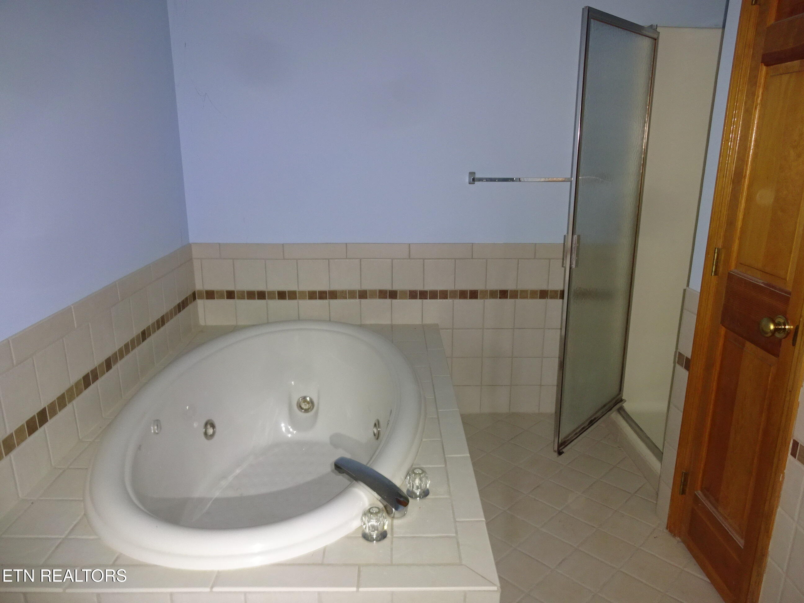 3740 Miser Station Road Louisville, TN 37777 - Photo 13 of 21 MBath-ToTub_Shower