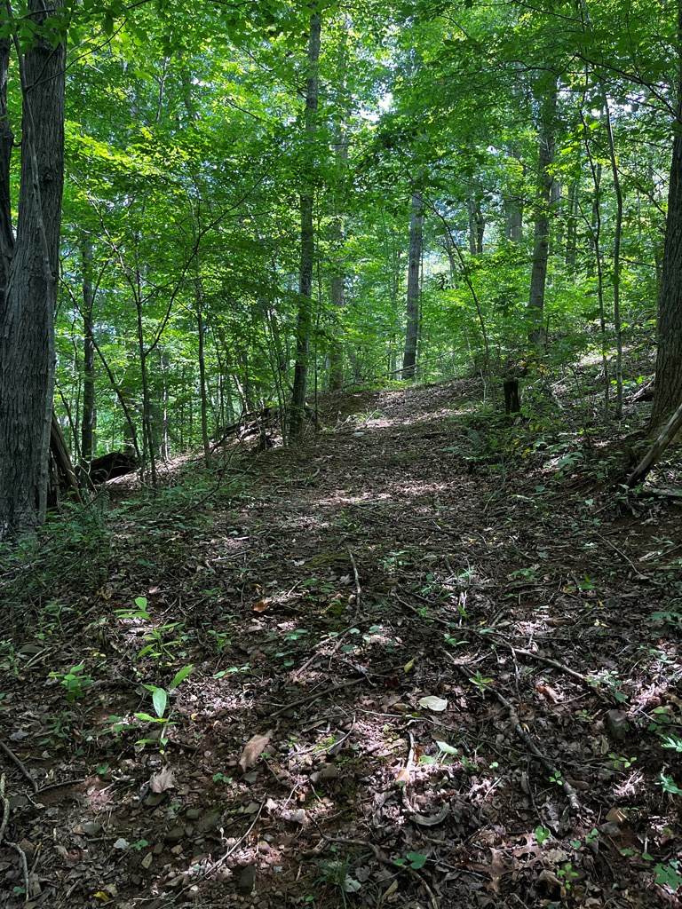0 Puppy Creek Farm Road, Unit 22 Stuart, VA 24171 - Photo 20 of 28 Gallery Image 20