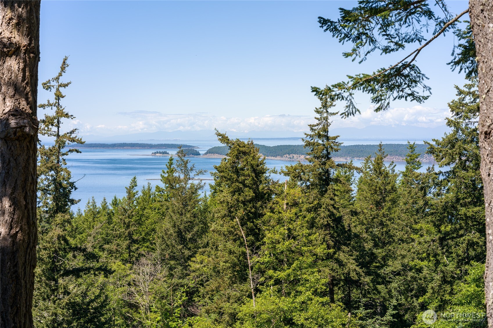 540 Wright Road Orcas Island, WA 98245 - Photo 40 of 40
