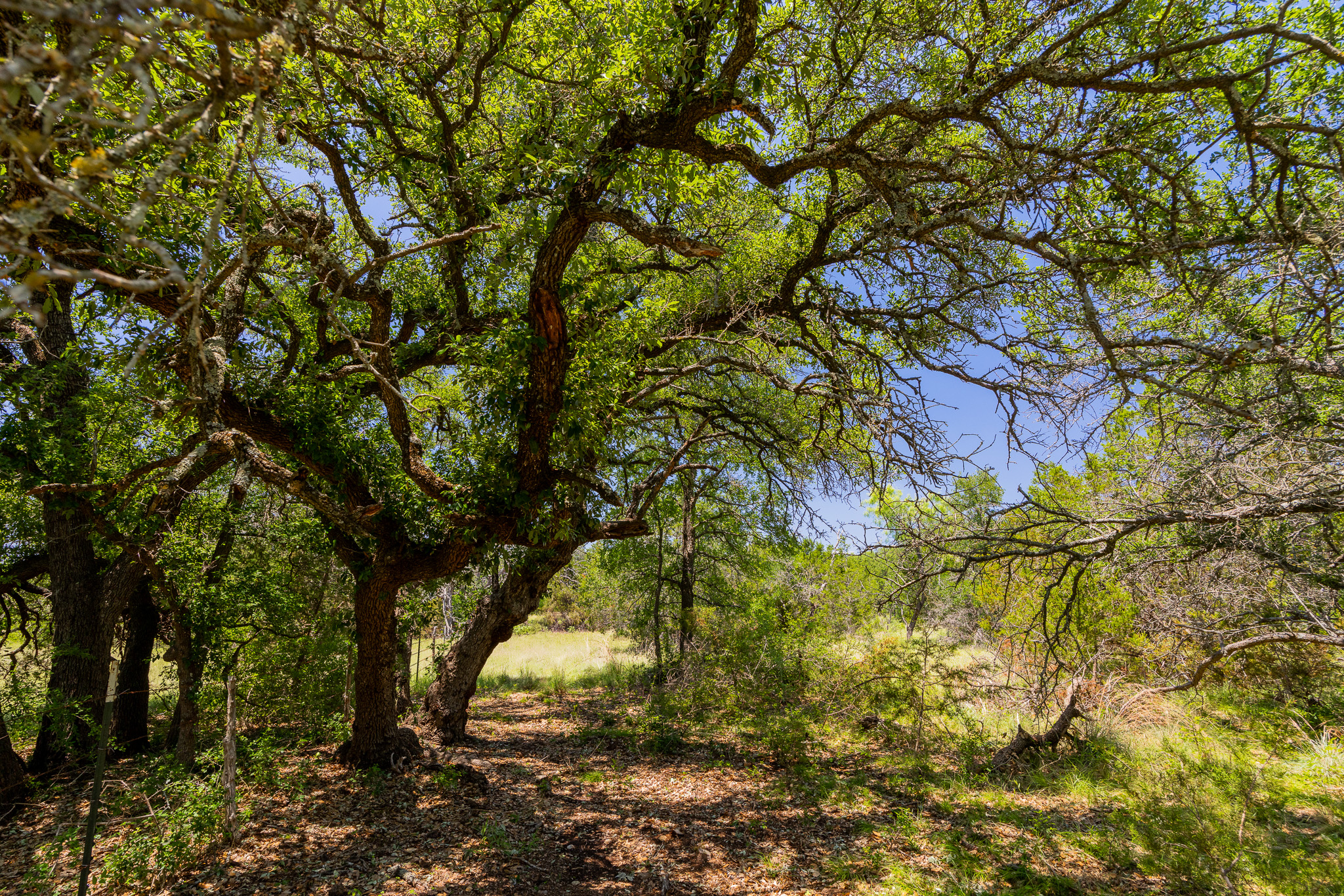 180 72 Ac Road Purmela, TX 76566 - Photo 6 of 33