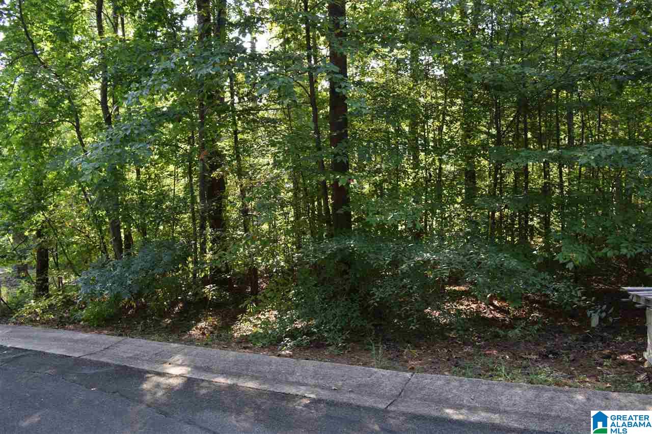 Lot 115 Ridge Drive, Unit 115 Hayden, AL 35079 - Photo 1 of 21