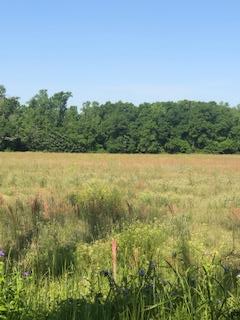 1205 Woodham Road Headland, AL 36345 - Photo 1 of 1