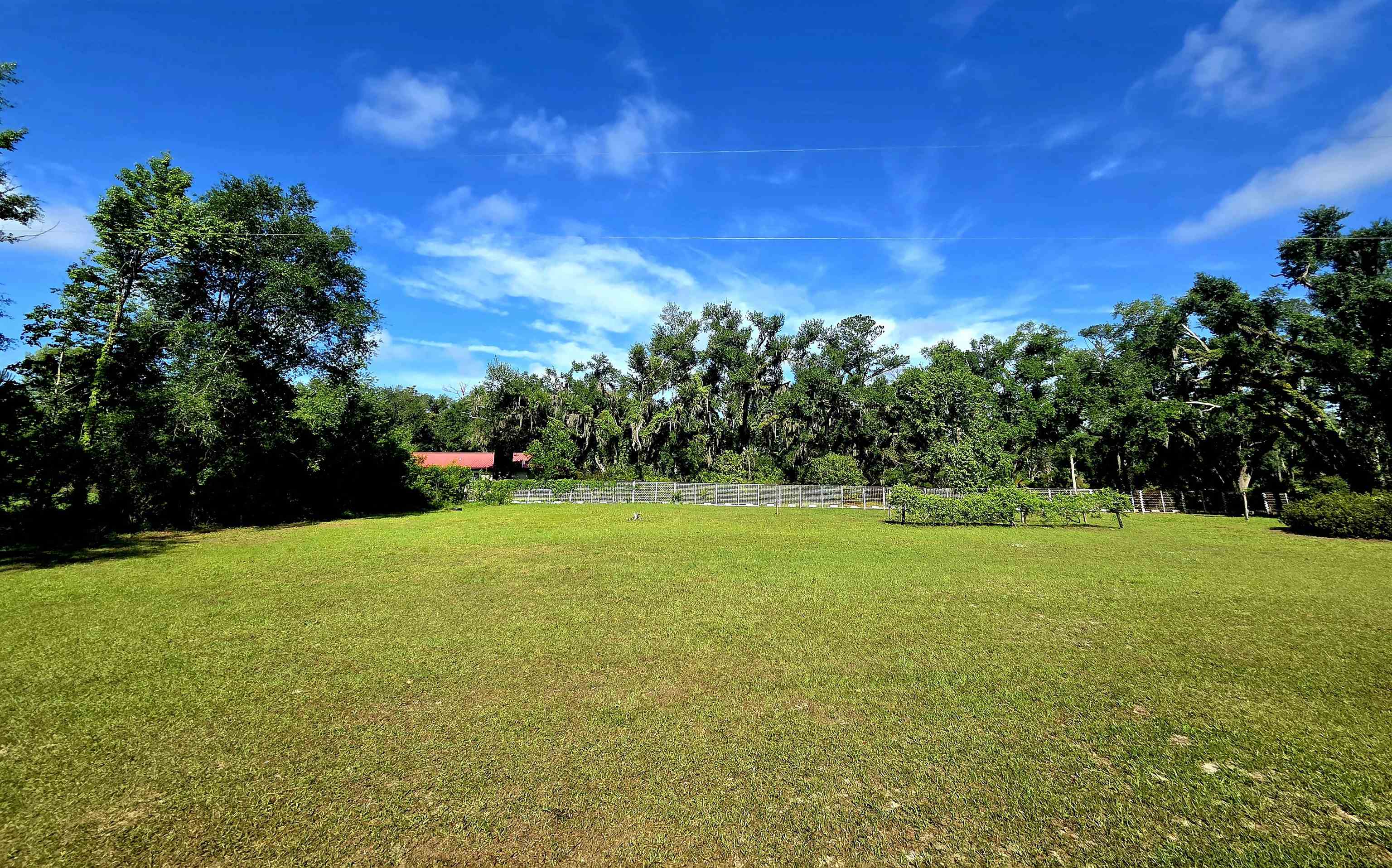585 Mangum-Close Road Perry, FL 32347 - Photo 31 of 56
